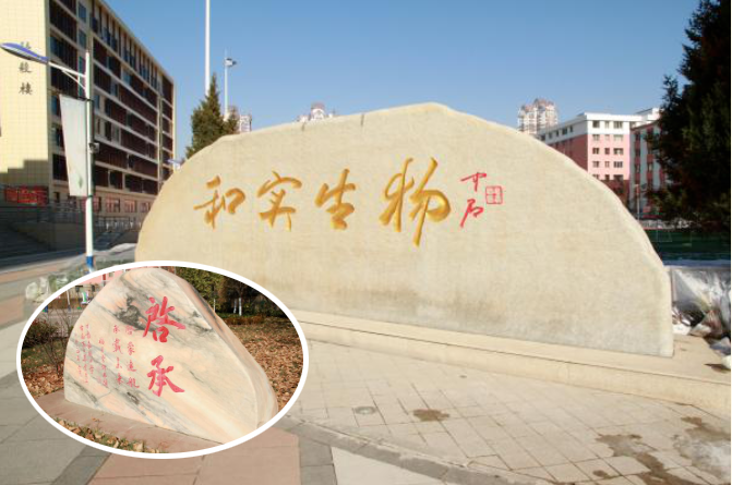 1760708226614055637.png image.png